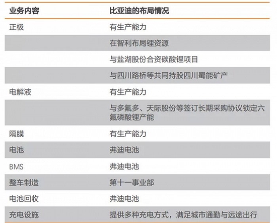 中国新能源汽车品牌（国产新能源汽车十大排名）-20