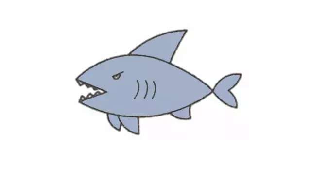 简笔画｜儿童简笔画，海里最凶猛的大白鲨的绘画步骤，建议收藏！